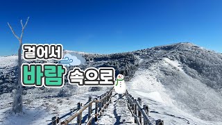 충북 단양 겨울 ☃ 눈꽃 ❄ 산행 소백산 비로봉  최단 코스 천동계곡코스