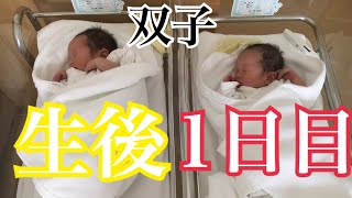 【生後1日目の双子】＃新生児#双子 ＃二卵性＃出産