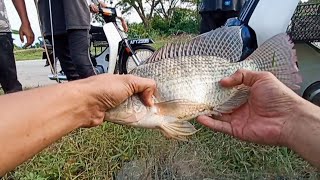 #EP1272 Menjala Tilapia Besar dan Casting Haruan