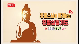 🙏 사시기도 599일차: 동명스님과 함께하는 불광화합을 위한 천팔십일기도(3/11, 화)