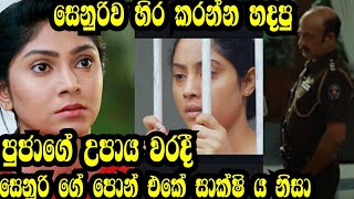 සෙනුරිව හිර කරන්න හදපු පුඡාගේ උපාය වරදී