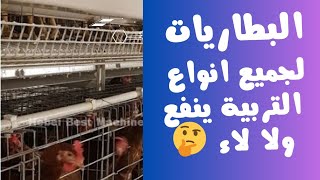 افضل انواع التربية 💯 | التربية فى البطاريات لجميع انواع الدواجن🤔 | اشكال وانواع البطاريات