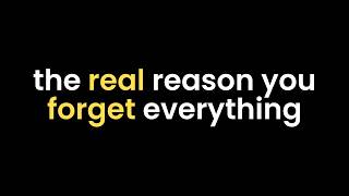 The Real Reason You Forget Everything