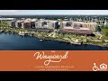 The Wayward (with Audio Description) | Nashville TN Apartments | Greystar