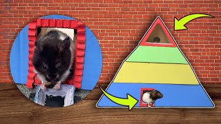 Hamster Maze Pyramid Obstacle Course, Striped Color Hamster Escape From Pyramid - Hamster Maze DIY