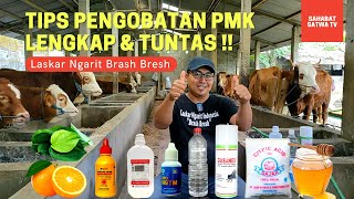 TIPS PENGOBATAN PMK LENGKAP \u0026 TUNTAS!!