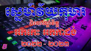 ស្នេហ៍វ័យកុមារ - ចម្រៀងអកកាដង់ ពិរោះៗ​ សម្រាប់កំដរភ្ញៀវញ៉ាំការ និងស្តាប់លេងកម្សាន្ត