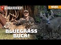 PITTS TAGS a Kentucky GIANT | Bluegrass BOW HUNTING | Realtree Roadtrips