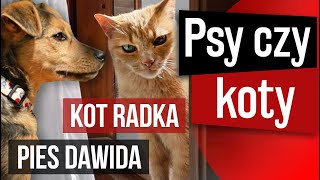 PSY czy KOTY - co wolisz? | Podsiadło Kotarski Podcast #12