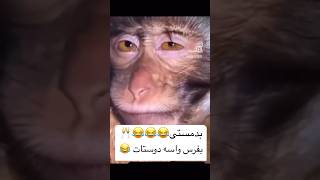 دوبل وان : بد مستی😂😂😂#dubbing #funny #comedy #cheers #subscribe #trending