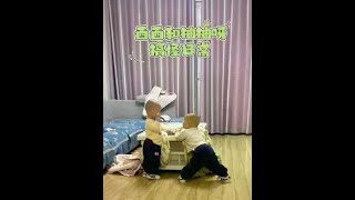 又是斗智斗勇的一天#西西和柚柚呀#人类幼崽成长计划 #双胞胎 #funny #cute #funnybaby