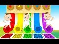 Bingo Song + Baby shark - Learn Vehicle names and color slide play -  Nursery Rhymes & Baby Songs