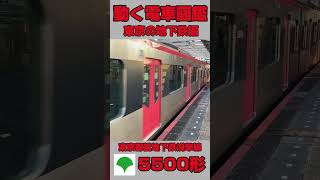 動く電車図鑑 東京の地下鉄編　都営浅草線5500形 #shorts