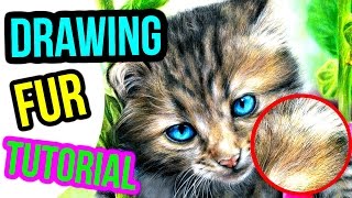HOW TO DRAW REALISTIC FUR! Coloured Pencil Drawing Tutorial | Step by Step