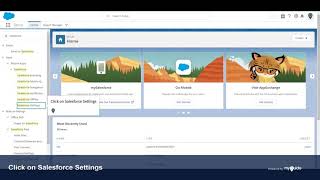 Activating the Salesforce Mobile App