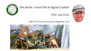 Battles twixt Crayfish and Fish