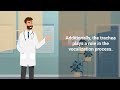 trachea medical definition quick explainer video