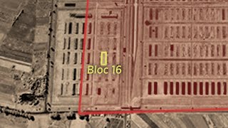 Auschwitz II BIRKENAU, Block 16, the children [English Subtitle]