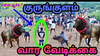 💥தஞ்சாவூர் மாவட்டம் 💥குருங்குளம்💥 (9:10:22)வார வேடிக்கை ஜல்லிக்கட்டு💥Jallikattu💥