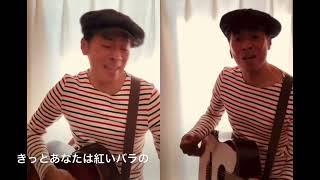 ブルー・シャトウ　cover 歌詞