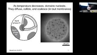 Brandeis MRSEC Seminar | Dr. Sarah L. Keller | Membranes of hungry yeast...