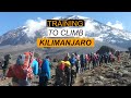 Training for Kilimanjaro