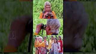 അങ്കിള് വാ ഞങ്ങള് കൊണ്ട് പോകാം Vrudanmmare Sookshikkuka Movie Malayalam Comedy Scenes