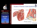 Anatomy and Physiology (Carlos Bechara, MD)