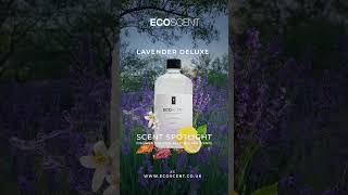 Scent Spotlight Lavender Deluxe #scentdetection #perfume #scentexperience #scentsensation #home