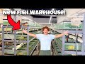 I Bought EXOTIC AQUARIUM FISH From NEW WAREHOUSE!