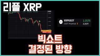 리플 XRP 빅쇼트 결정된 방향?