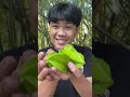 trending fruit on tiktok umakyat pako ng bubong