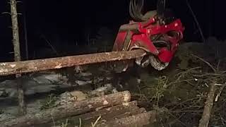 Waratah Processor logging