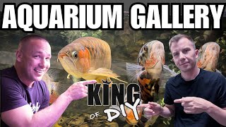 FULL TOUR of the Aquarium Gallery with the KING OF DIY