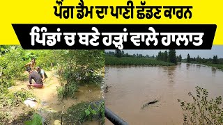 Beas River ਦਾ ਛੱਲਾਂ ਮਾਰਦਾ ਹਜ਼ਾਰਾਂ ਕਿਊਸਿਕ ਪਾਣੀ ਵੜਿਆ Villages 'ਚ