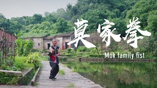 Mok family martial art: Defense with a powerful kick #ChinaKungfu