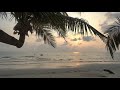 Palm Trees - Michael  E (from album Blue)
