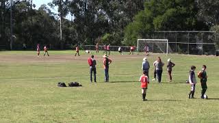 HIGHLIGHTS - NSBHS U18 vs Hornsby Heights @ Wellington 20200905