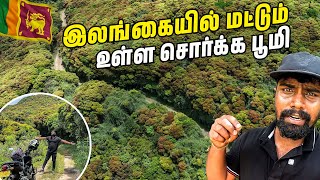 இலங்கையில் இப்படி ஒரு சொர்க்கமா 😯| sri lanka hidden places 🔥| meenure | #sltamilvlogs