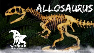 Wonder Artistic Models Allosaurus Skeleton 3d puzzle Review!!! ABSOLUTELY AWESOME!!!