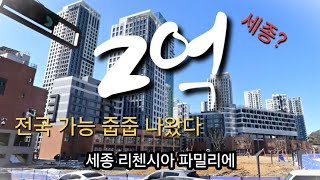 세종 리첸시아 파밀리에 무순위 | 2억 줍줍 청약 | 청약일정 및 분석