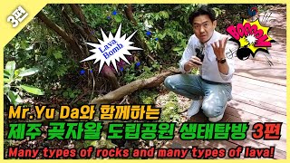 [3편] Mr. Yu Da와 함께하는 제주 곶자왈 도립공원 힐링 생태탐방 3편 - Lava Bomb!