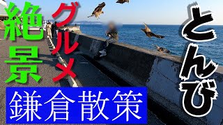 【ハプニング・恐怖】江ノ島 休憩してたらトンビに襲われる瞬間（鎌倉・グルメ・食べ歩き・Vlog）