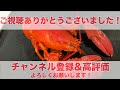 食用ロブスターを飼育しようかと思いましたが