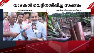 വാഴകൾ വെട്ടിനശിപ്പിച്ച സംഭവം; തോമസേട്ടനും മക്കൾക്കും ആശ്വാസമായി കൃഷി മന്ത്രിയെത്തി