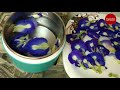 శంకు పూల టీ how to make butterfly pea tea in telugu sankupula tea recipe