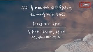 [2024.1.6. 새벽예배]  여호수아 묵상 (수 5:1-12)