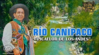 Picaflor de los Andes - RÍO CANIPACO