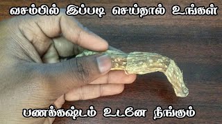 வசம்பில் இப்படி செய்தால் உங்கள் பணக்கஷ்டம் உடனே நீங்கும் - spiritual secrets - vasmbu thanthrigam