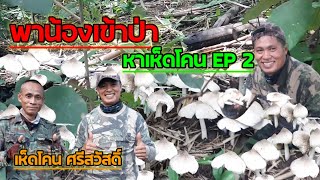 พาน้องเข้าป่าหาเห็ดโคนศรีสวัสดิ์พาส2 EP129#เก็บเห็ด #เก็บเห็ดตามฤดูกาล #เห็ดโคน